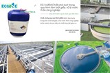 EG-6394 – Chất Phá Bọt Hiệu Suất Cao Trong Xử Lý Nước Thải Công Nghiệp & Sinh Hoạt